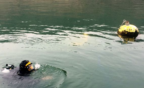 בגלל הבצורת: מזיזים את קו החוף בכנרת. צפו