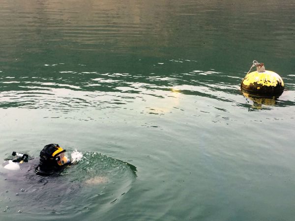 בגלל הבצורת: מזיזים את קו החוף בכנרת. צפו