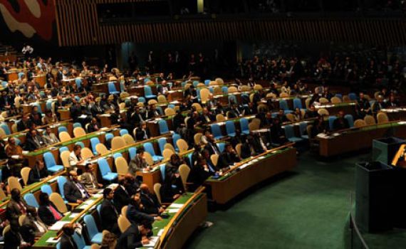 "תתביישו לכם": בישראל שבעי רצון מהתוצאות