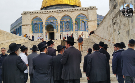 עשרות חרדים עלו להר הבית לע"נ הרב שטיינמן