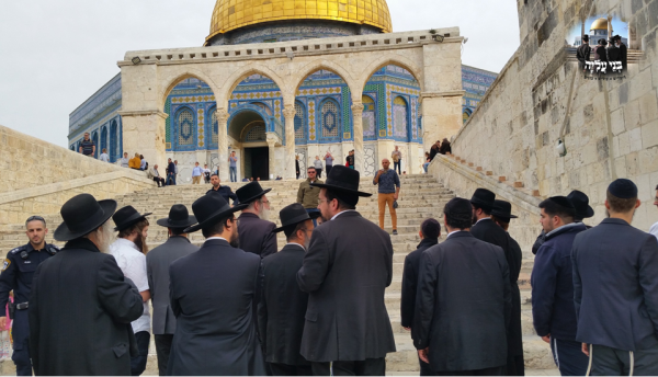 עשרות חרדים עלו להר הבית לע"נ הרב שטיינמן
