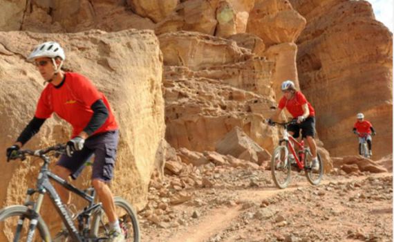 חנוכה בפארק תמנע: חוויה משפחתית יוצאת דופן