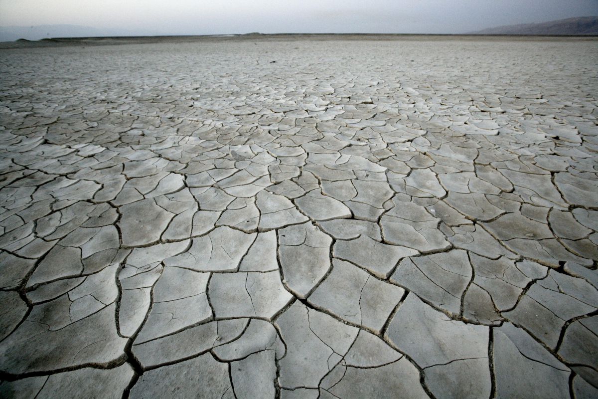 מחשש לבצורת: הרבנות מורה להתפלל לגשם