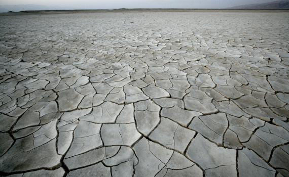 מחשש לבצורת: הרבנות מורה להתפלל לגשם