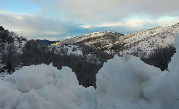 גשם בכל הארץ, שלג בצפון: עליה נאה במפלס הכנרת
