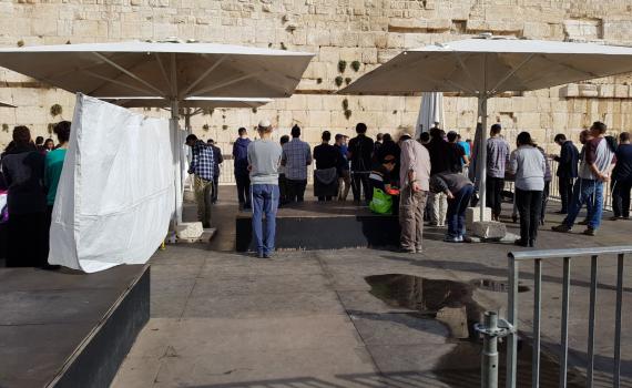 לפני בג"צ: עשרות התפללו בהפרדה ב'כותל הרפורמי'