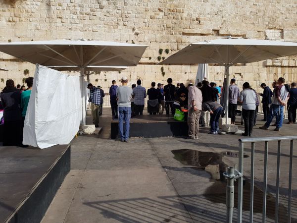 לפני בג"צ: עשרות התפללו בהפרדה ב'כותל הרפורמי'