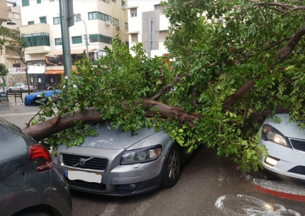 הצפות, שטפונות קריסת עצים ושלג בחרמון