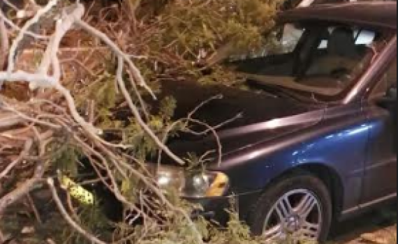 שטפונות, חסימת כבישים וקריסת עצים ברחבי הארץ