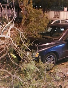 שטפונות, חסימת כבישים וקריסת עצים ברחבי הארץ