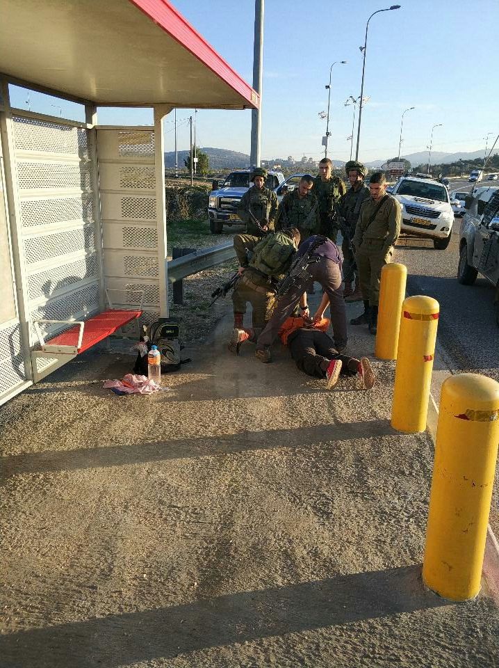 פיגוע דקירה בצמת שילה • המחבלת נוטרלה