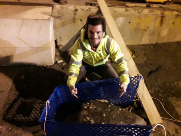 באמצע הלילה: עובדי נמל אשדוד מצילים חיים