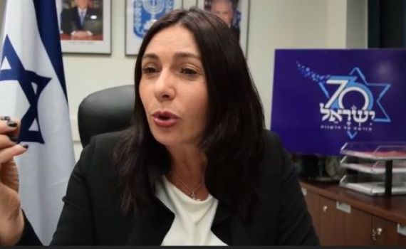 רגב מאשימה את זנדברג: "מפזרת השמצות ופוגעת בישראל"