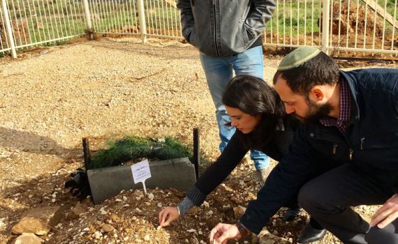 שקד: "על הממשלה לאשר כבר בראשון את הסדרת חוות גלעד"