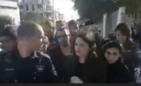 "רוצחת","פשיסטית": פעילי שמאל התנפלו על שקד