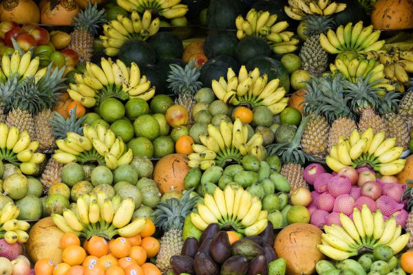 שו"ת ט"ו בשבט: הרב קוק היה נוטל ידיים לפירות א"י