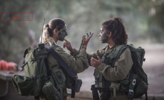 "תודה על פקודת השירות המשותף"