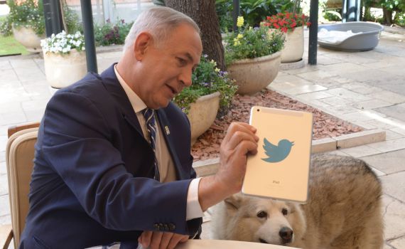 קאיה הכלבה של משפחת נתניהו, הלכה לעולמה