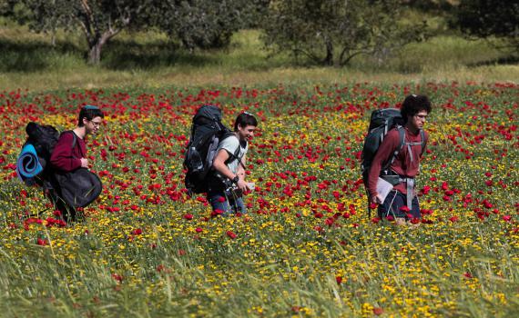 צאו לחגוג פריחה: מדריך אירועי ט"ו בשבט