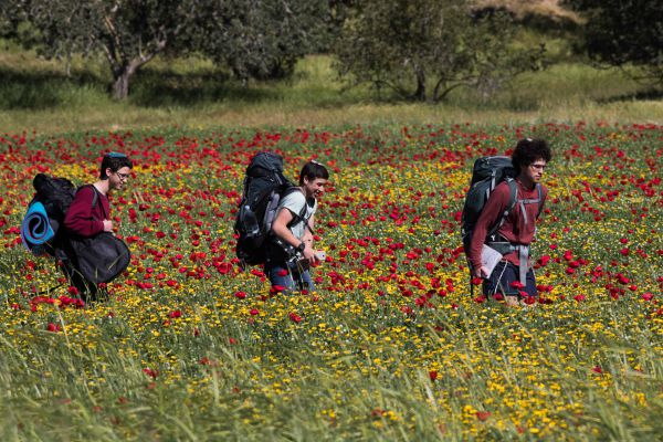 צאו לחגוג פריחה: מדריך אירועי ט"ו בשבט
