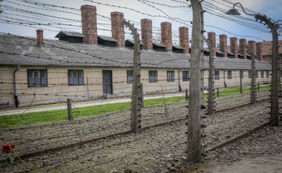 היום לפני – הוועידה הנאצית שהחלה בהשמדה השיטתית