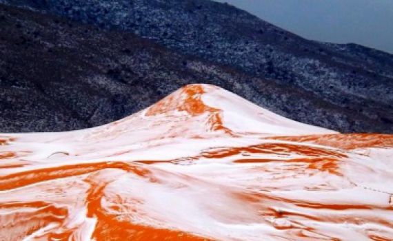 תופעה נדירה: שלג במדבר החם בעולם•צפו