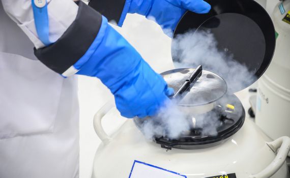 שימור ביציות- אבן פינה לבניית בית עתידית