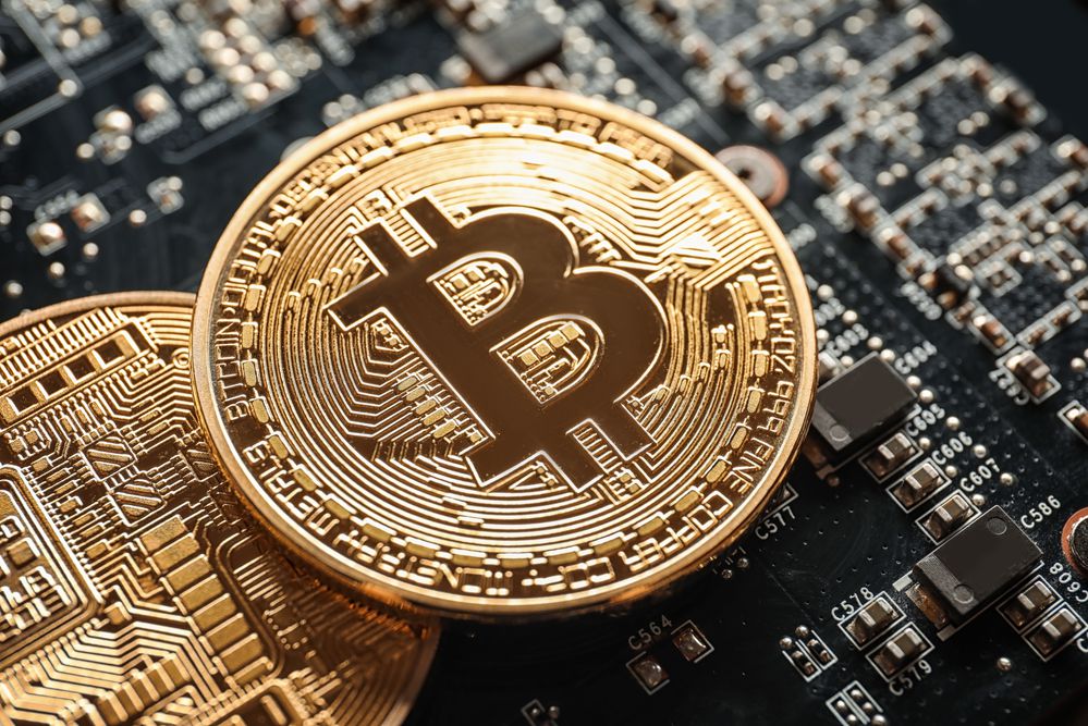 פדיחה: התעשרו מהביטקוין- ושכחו את הסיסמה