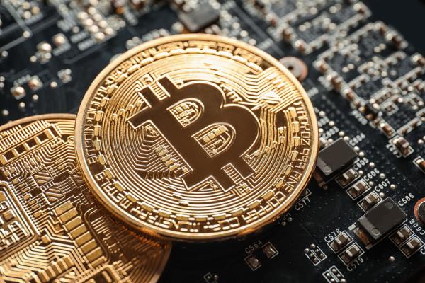 פדיחה: התעשרו מהביטקוין- ושכחו את הסיסמה