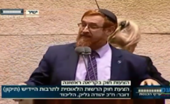 צפו: נאום "רב פורים" של יהודה גליק