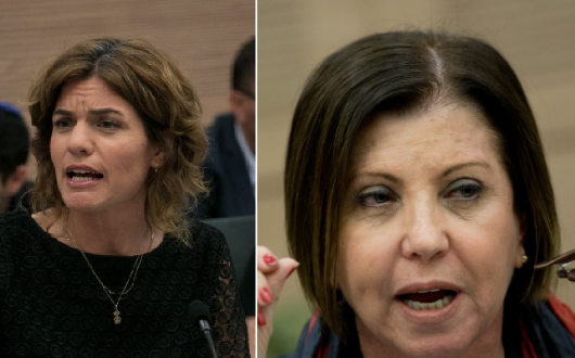 'שפת ביוב': עימות חריף בין גלאון לזנדברג