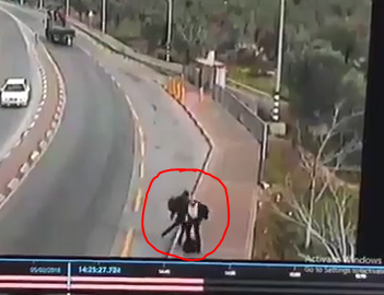 ירד ממונית, התגנב ודקר למוות. צפו בתיעוד הפיגוע