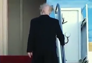 השתלה או פאה? תיעוד של טראמפ מסעיר את הרשת