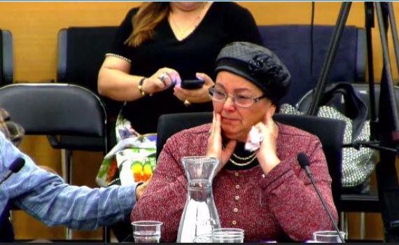 "מדובר בחיי אדם"; מחריף המאבק נגד תאונות הגמלים בנגב