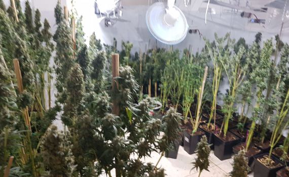 עשרות ק"ג של סמים נמצאו ביישוב בבנימין