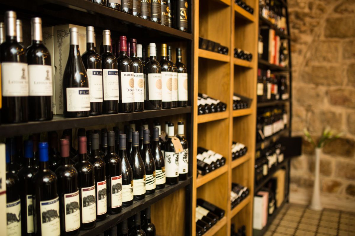 אור רייכרט לוגם: חייב איניש לדעת לשתות יין בפורים