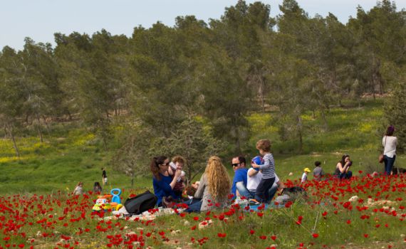 גל חום באמצע החורף: התחזית לימים הקרובים