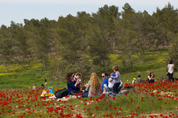 גל חום באמצע החורף: התחזית לימים הקרובים
