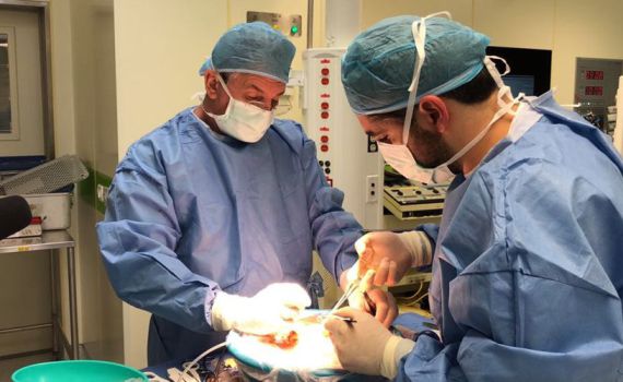 הציל חיים גם אחרי מותו: משפחתו של אריאל תרמה את איבריו