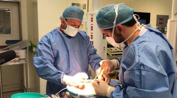 הציל חיים גם אחרי מותו: משפחתו של אריאל תרמה את איבריו