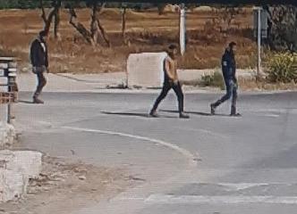 הקשר בין הגניבות מבסיס צאלים למשפחה המודרנית