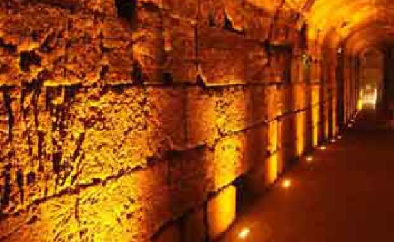 צפו: משדר מיוחד לרגל צום ט' באב