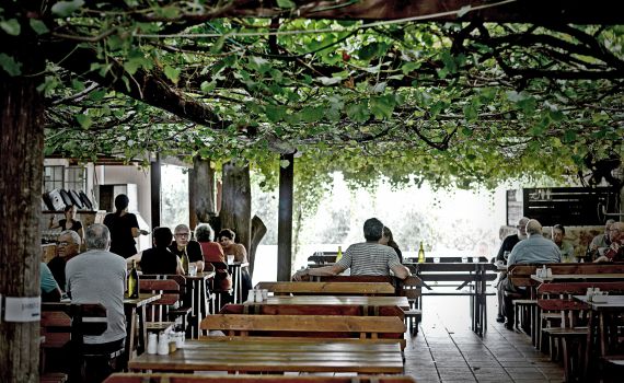 נכנס יין ויצאה ארוחה נהדרת| ביקורת מסעדות