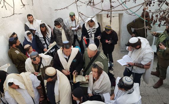 בקבר יהושע בן נון: עשרות קראו מגילת אסתר