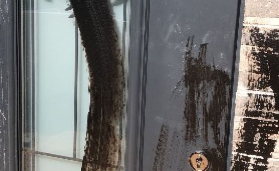 רגע לפני שנחנך- המקווה המפואר הושחת