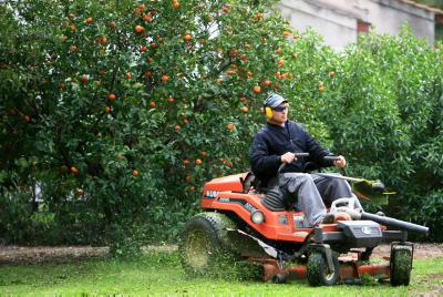 מה מותר, ובעיקר מה אסור לעשות בחול המועד? צפו
