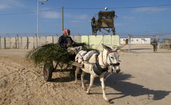 מוטי יוגב: מספר הפלסטינים ביו"ש אינו הגיוני