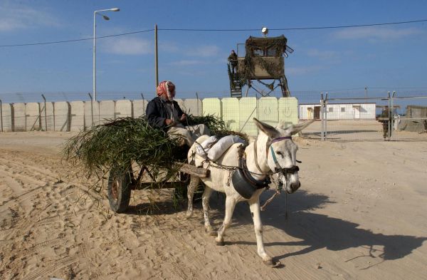 מוטי יוגב: מספר הפלסטינים ביו"ש אינו הגיוני