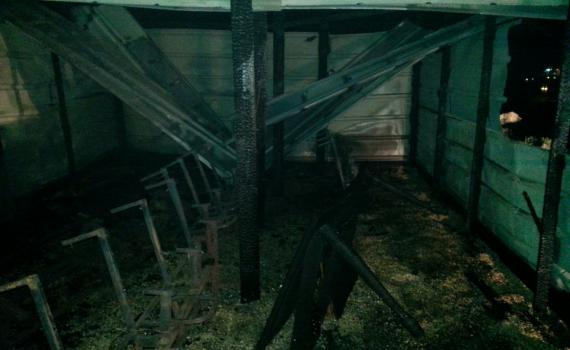 זעזוע: מחבלים שרפו את בית הכנסת בגבעת שורק