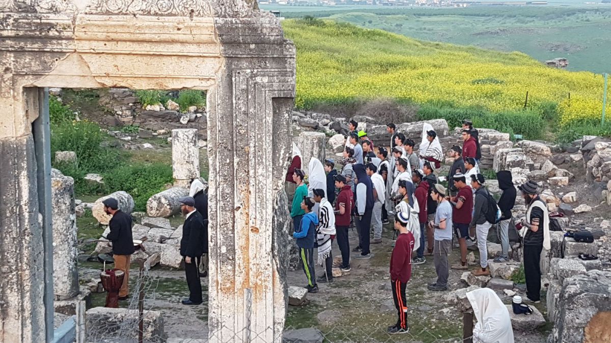 צפו: החמ"ד מגלה בידיו את ההיסטוריה